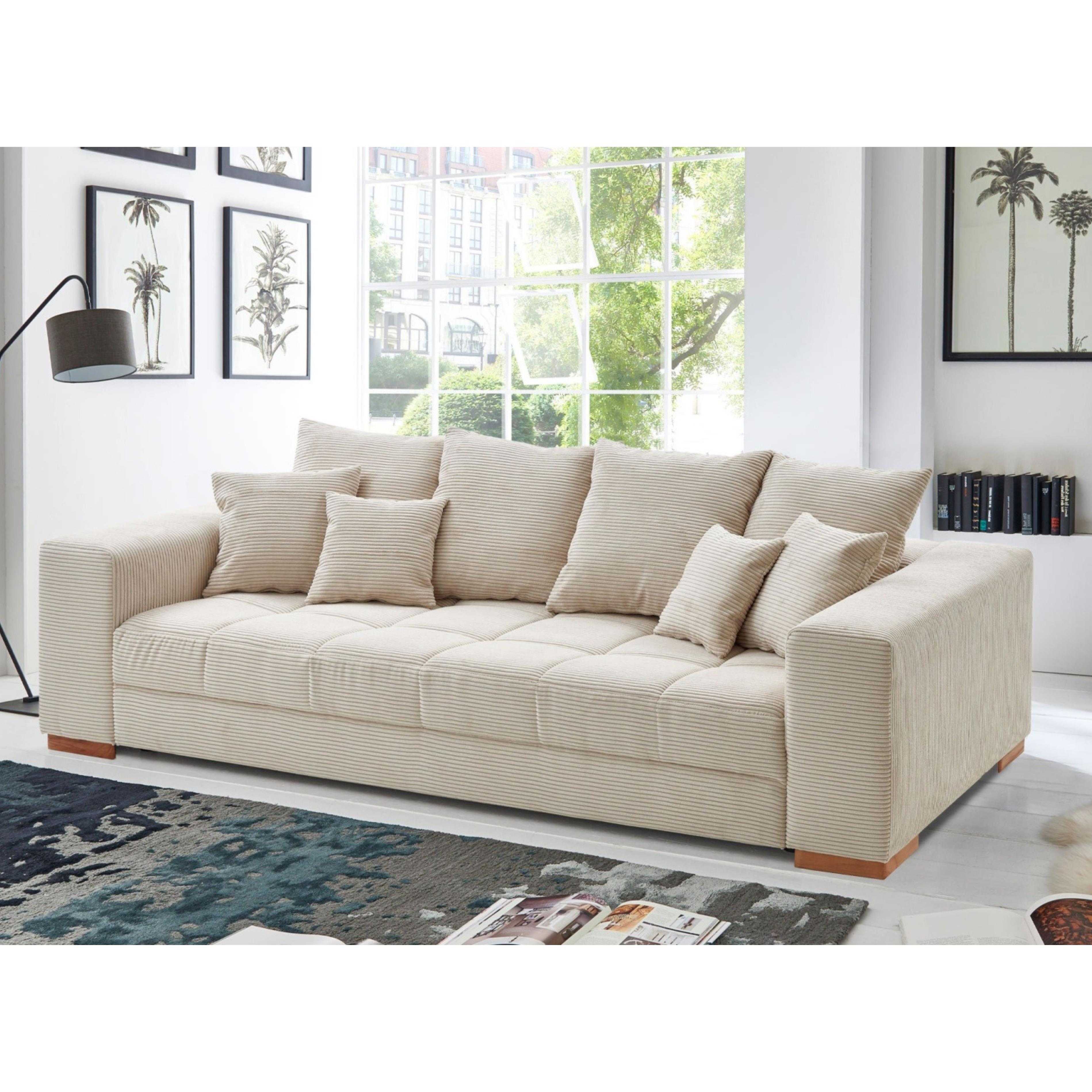 0001430700_HauptbildMilieu-1765459738042