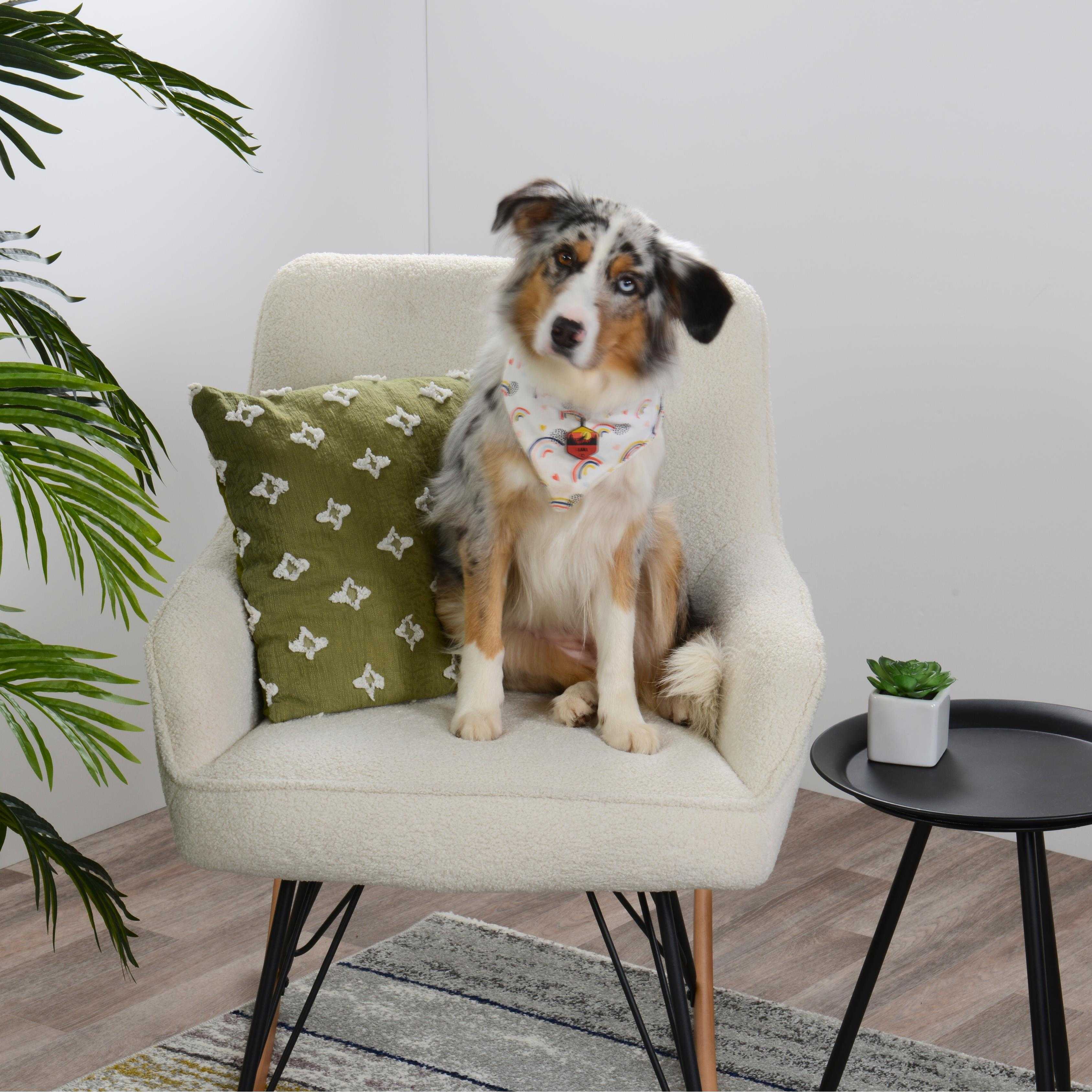 0000080282_Detailbild01-1701180376337